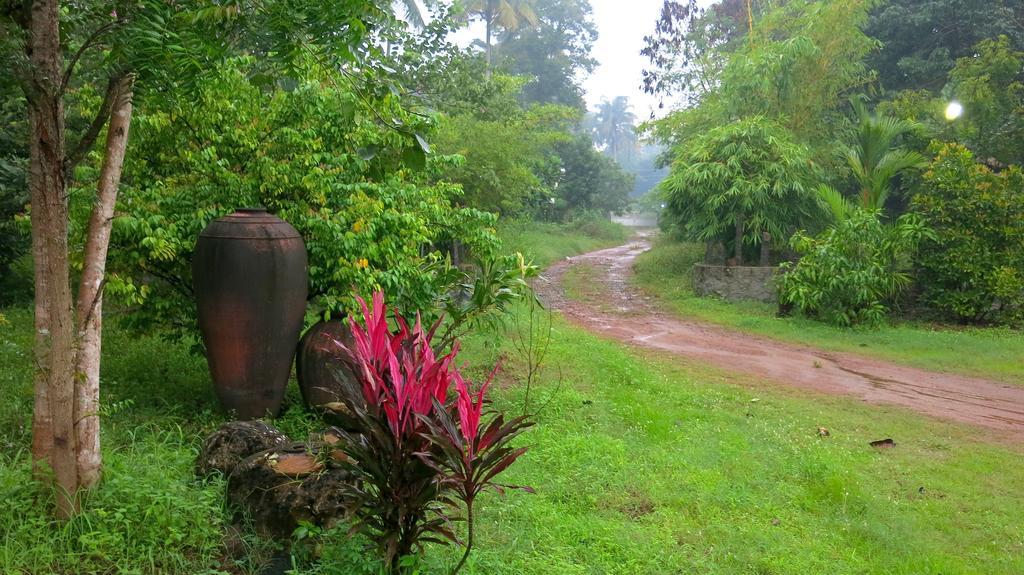 Clayfingers Art Cottage Thrissur Room photo