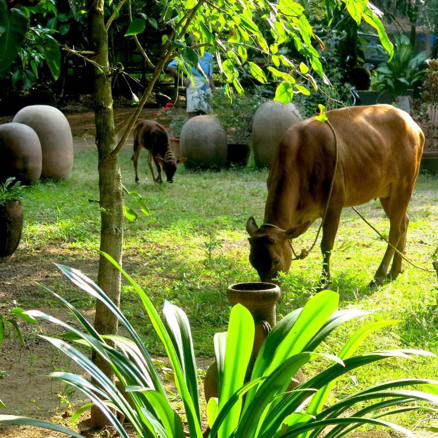 Clayfingers Art Cottage Thrissur Exterior photo